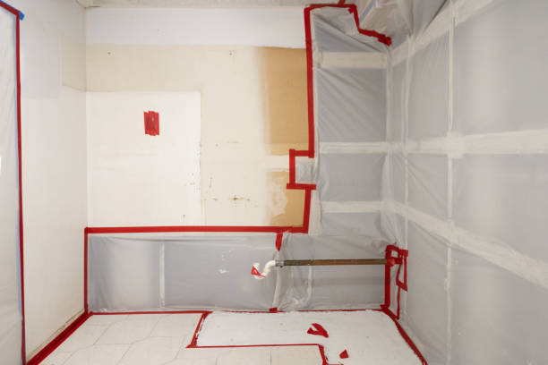 Best Mold Damage Restoration  in Cusseta, GA