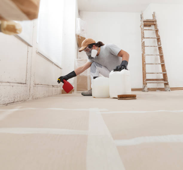 Best Mold Removal for HVAC Installations  in Cusseta, GA