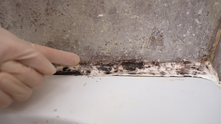 Best Residential Mold Inspection & Testing  in Cusseta, GA